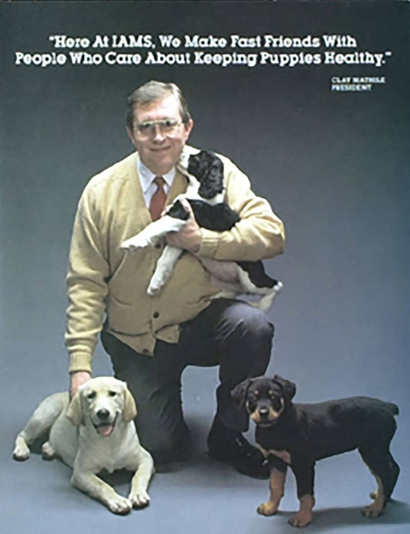 Iams Ad | Aileron